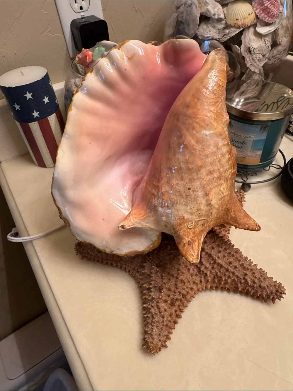 Real Conch Shell & Starfish Table Lamp Nightlight - Mexico 🇲🇽